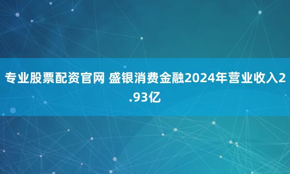 专业股票配资官网 盛银消费金融2024年营业收入2.93亿